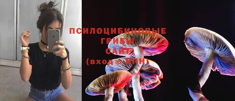 где купить наркоту  Старая Купавна  Галлюциногенные грибы MAGIC MUSHROOMS 